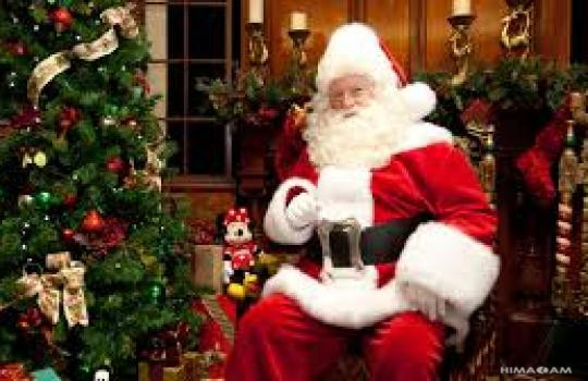 The Woods