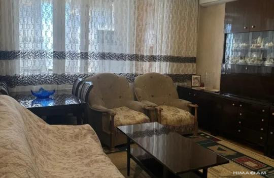 The Woods