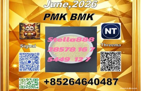 The Woods